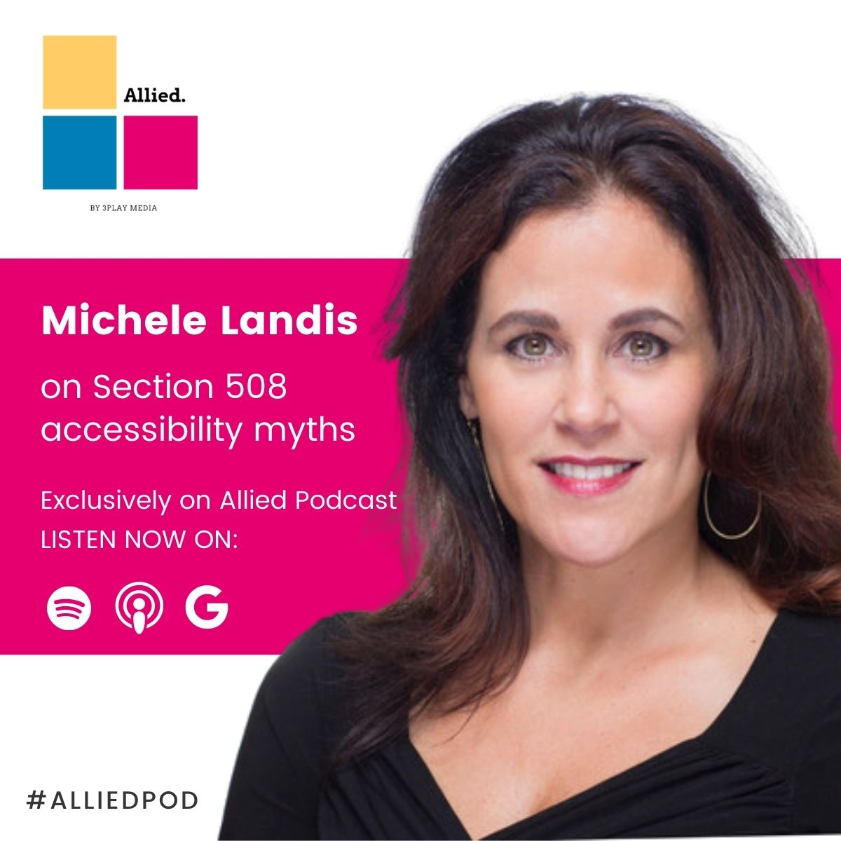 Allied Podcast Sections 508 Myths with Michele Landis