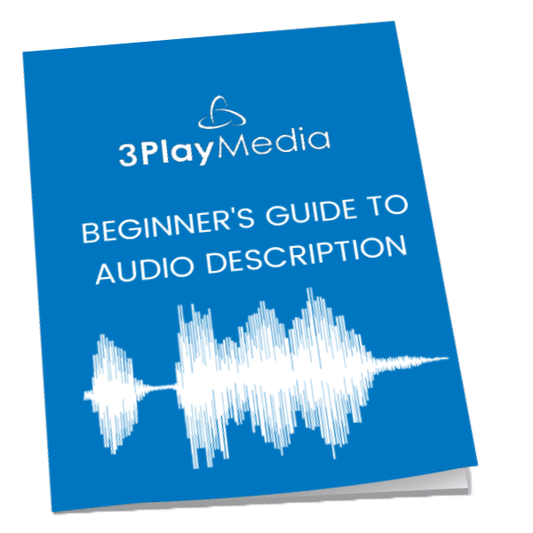 do-you-need-standard-or-extended-audio-description